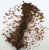 Document No. II, 4 (September 11th - November 5th, 2000)